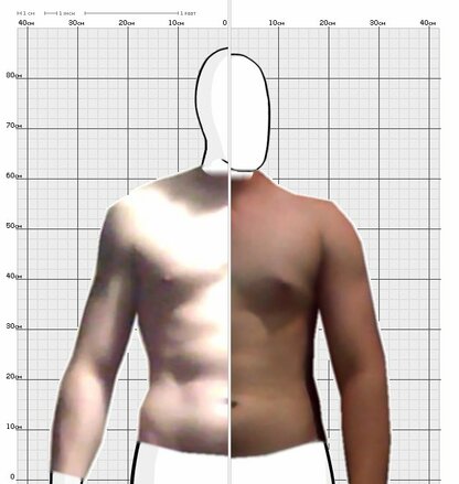 Torso Comparison