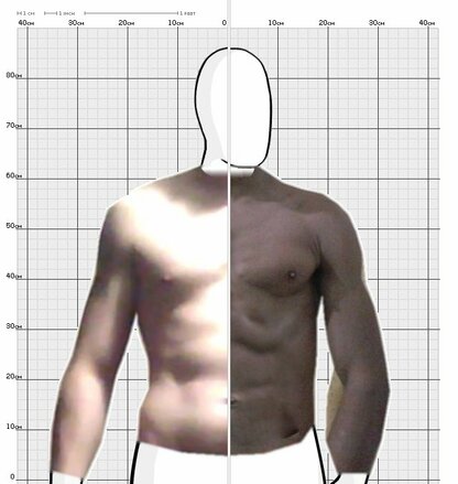 Torso Comparison