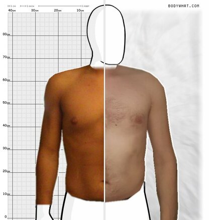 Torso Comparison