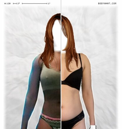 Torso Comparison