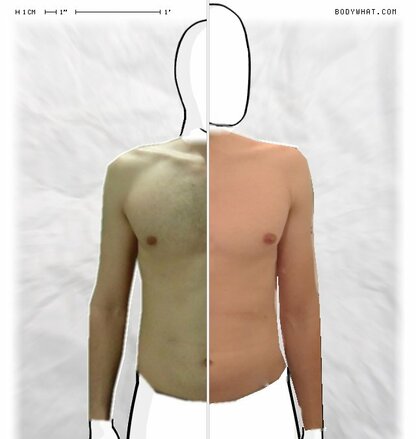 Torso Comparison