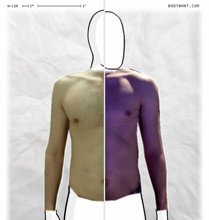 Torso Comparison