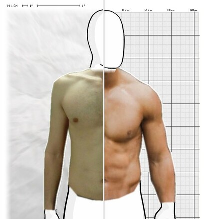 Torso Comparison