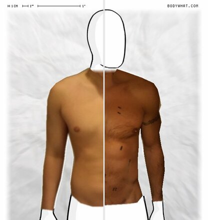 Torso Comparison