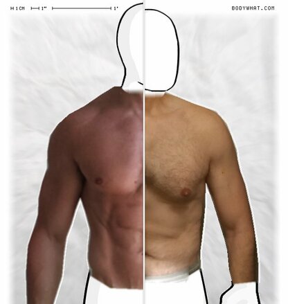 Torso Comparison