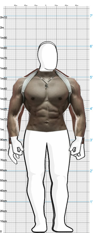 Full Size Comparison