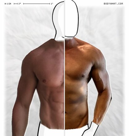 Torso Comparison