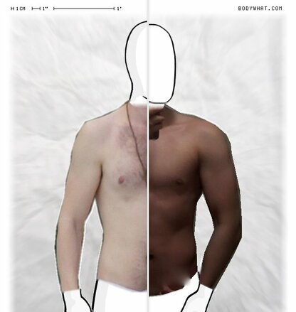 Torso Comparison