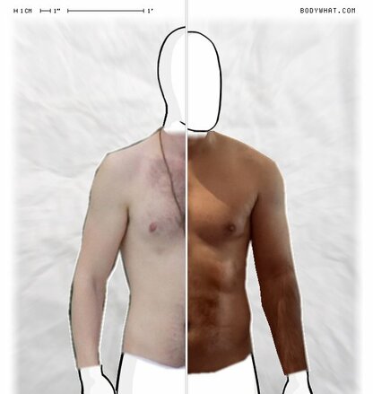 Torso Comparison