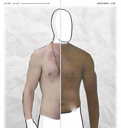 Torso Comparison