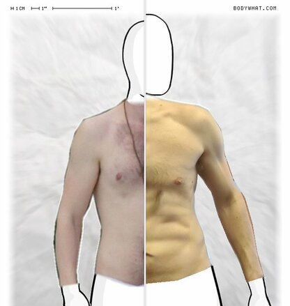 Torso Comparison