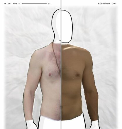Torso Comparison