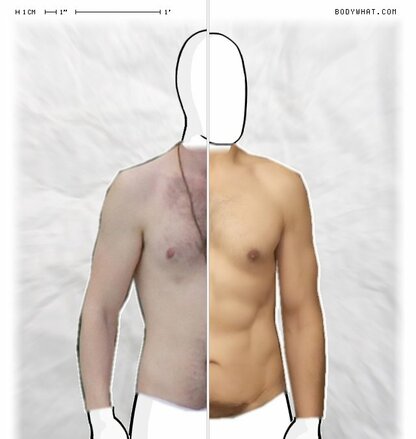Torso Comparison