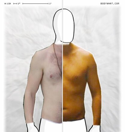 Torso Comparison