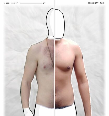 Torso Comparison