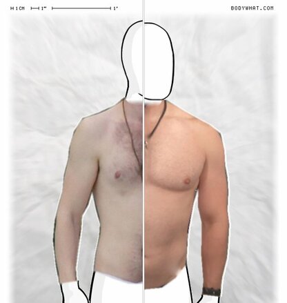 Torso Comparison