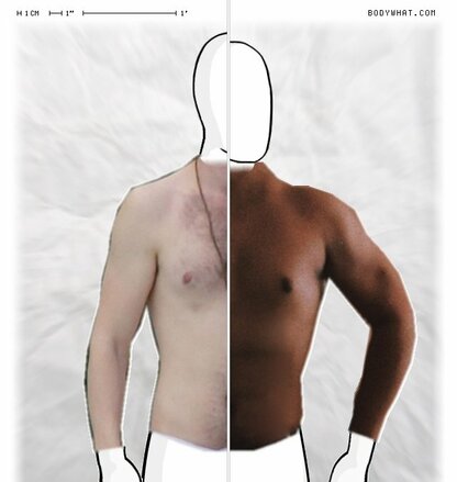 Torso Comparison