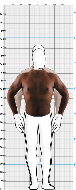 Full Size Comparison