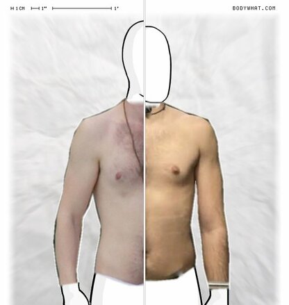 Torso Comparison