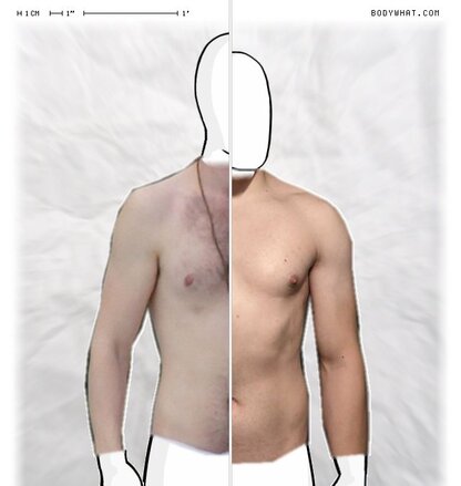 Torso Comparison
