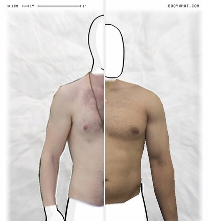 Torso Comparison