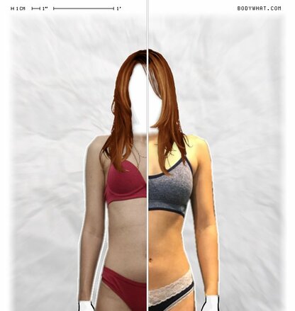 Torso Comparison