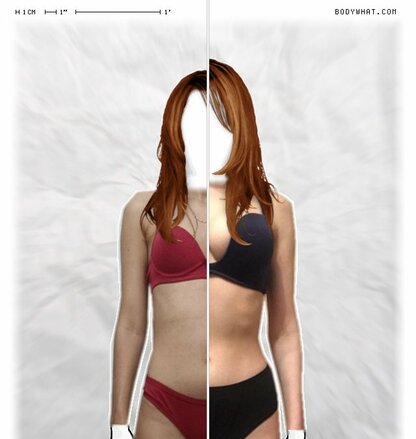 Torso Comparison