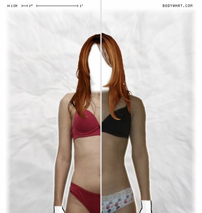 Torso Comparison