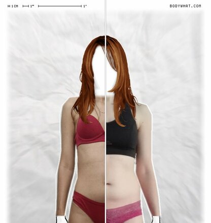 Torso Comparison