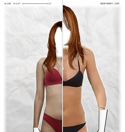 Torso Comparison