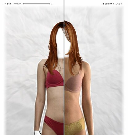 Torso Comparison