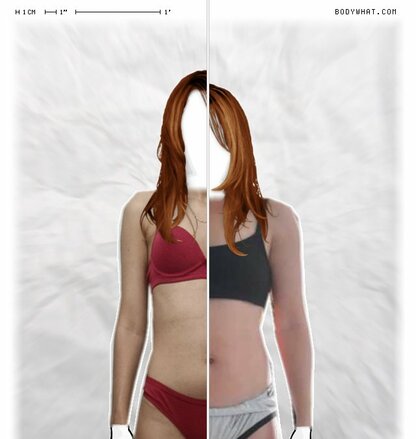 Torso Comparison