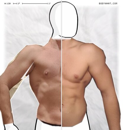 Torso Comparison