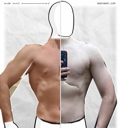 Torso Comparison