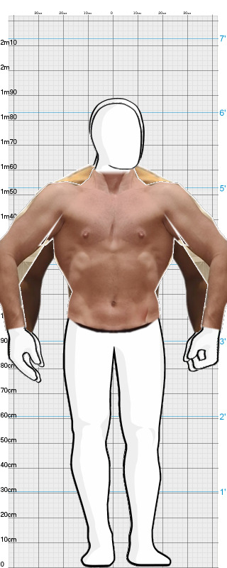 Full Size Comparison