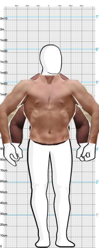 Full Size Comparison