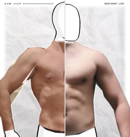 Torso Comparison