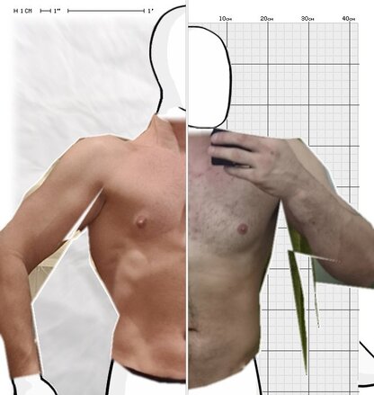 Torso Comparison