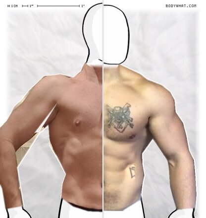 Torso Comparison