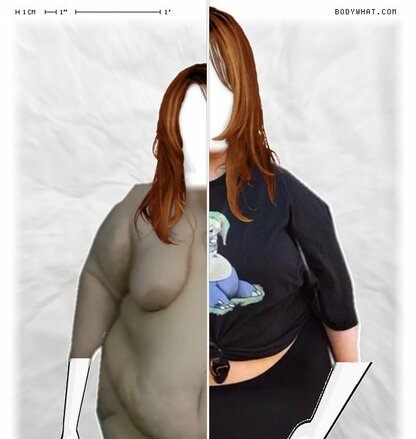 Torso Comparison