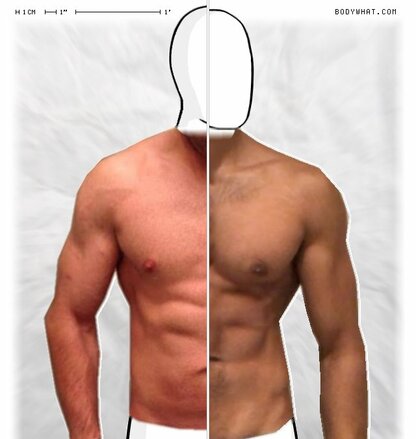 Torso Comparison