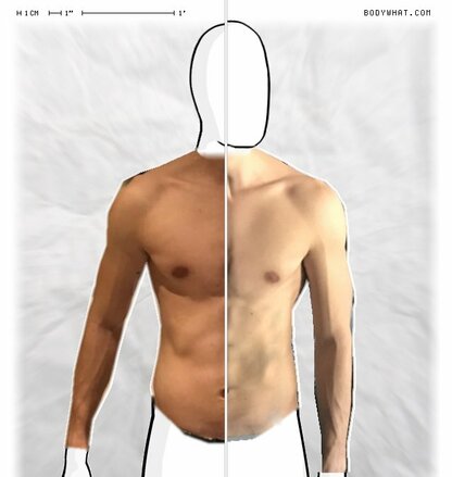 Torso Comparison