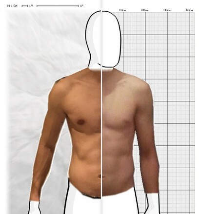 Torso Comparison