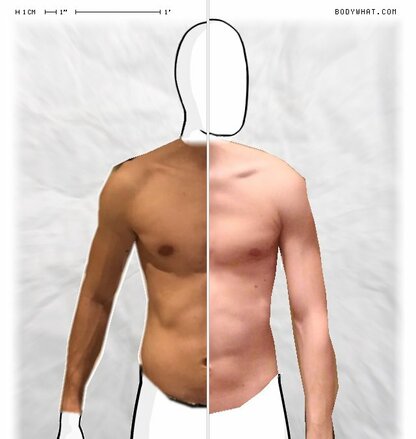 Torso Comparison