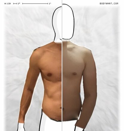 Torso Comparison