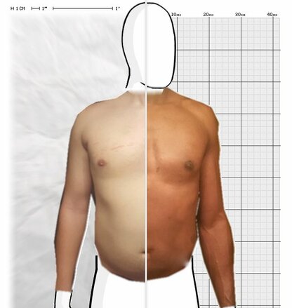 Torso Comparison