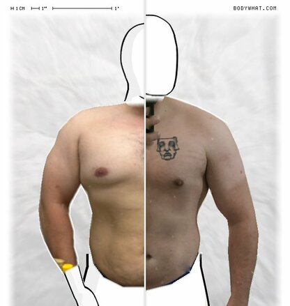 Torso Comparison