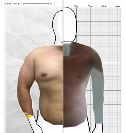 Torso Comparison