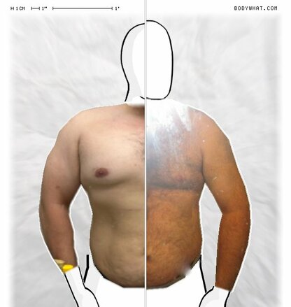Torso Comparison