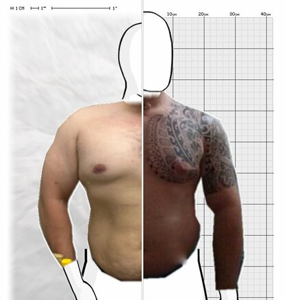 Torso Comparison
